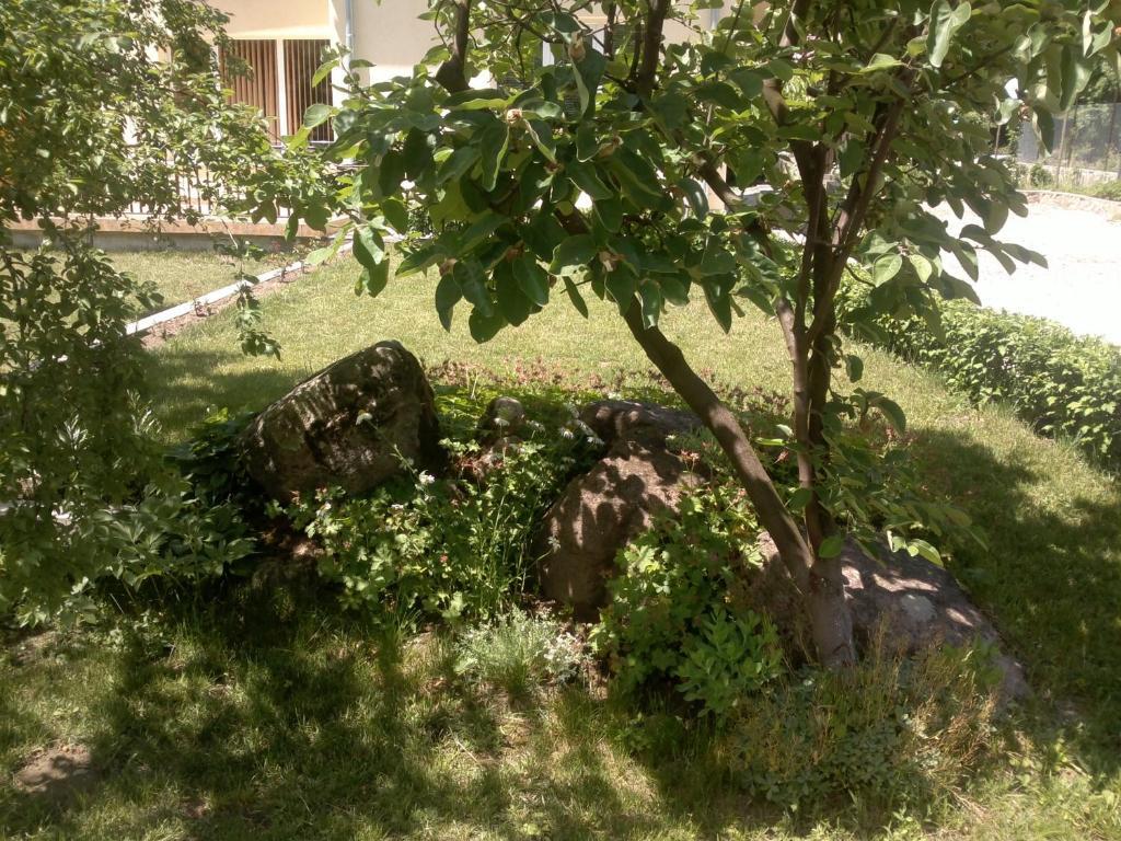 Villa Nanevi Teteven Eksteriør billede